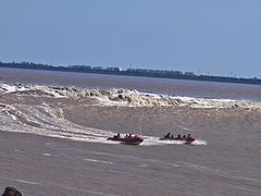 -观潮胜地公园