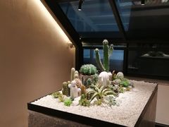 -大树餐厅(红旗街万达店)