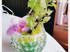 -金轩中餐厅 Jin Xuan(浦东丽思卡尔顿酒店)