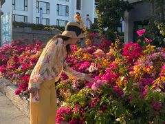 -青澳湾北回归线广场