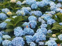 -上海吴淞炮台湾国家湿地公园
