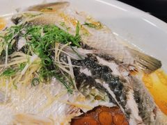 清蒸鲩鱼-绿雅居原生态农庄(小涌店)