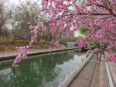 -南长河公园