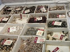 -胖大嫂渔家排档·全海景餐厅(渔村店)