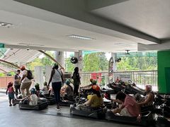 -圣淘沙天际线斜坡滑车