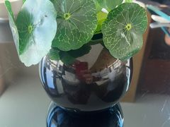 -北京云瑧金陵莲花酒店·莲·川小馆