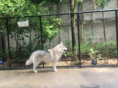 -TrueLove @ Neverland (Husky Cafe)