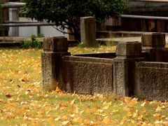 -上海交通大学(闵行校区)