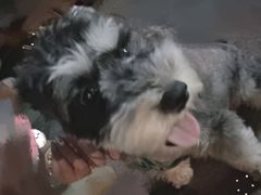-纳吉亚猫专科动物医院·北北分院