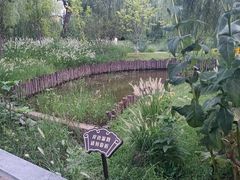 -莲花池公园