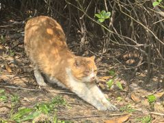 -华东政法大学(松江校区)