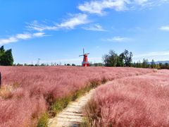 -羊亭河湿地公园