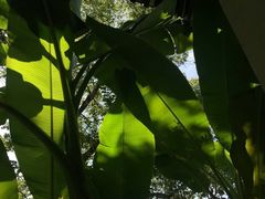 -浙江西子宾馆·瑶园咖啡厅