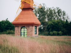 -杭州湾海上花田景区