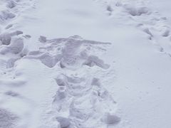-太子岭滑雪场