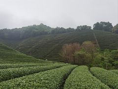 -象头山国家级自然保护区