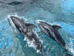 -珠海长隆海洋王国