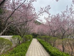 -四门塔风景区
