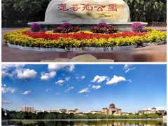 -莲花池公园