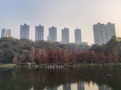-重庆彩云湖湿地公园