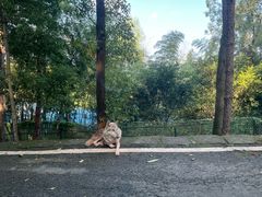 -乐和乐都动物主题乐园