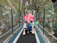 -嵖岈山风景区