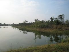 -白鹭湾湿地公园