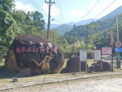 -海南霸王岭国家森林公园