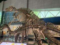 -湖南省地质博物馆