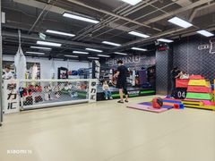 -拳力汇散打搏击泰拳俱乐部(绿地缤纷城店)