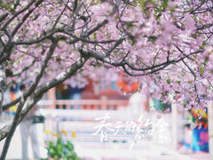 -莫愁湖公园