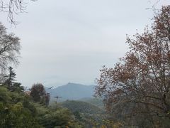 -莫干山风景区