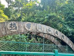 -西双版纳原始森林公园