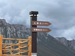 -四川郎木寺镇