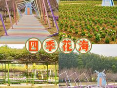 -盈香心动乐园