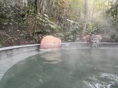 -天目湖御水温泉·度假酒店