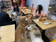 -汪说·狗咖(旺城大厦店)