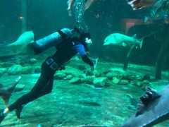 -华夏文旅海洋公园