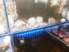 水产区-蟹谢蒸鲜自助餐厅