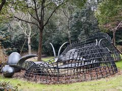 -上海吴淞炮台湾国家湿地公园