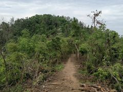-青龙山国家森林公园