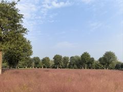 -汉长安城未央宫国家考古遗址公园