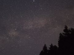 -武陵山森林公园