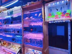 -山东柏宁水族批发广场