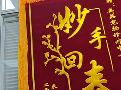 -美美宠物诊疗中心·异宠·骨科(滨江东信分院)