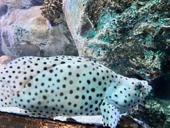 -海合安成都极地海洋公园