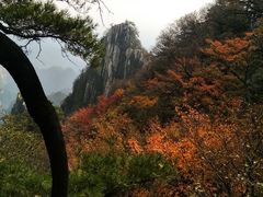 -尧山风景区
