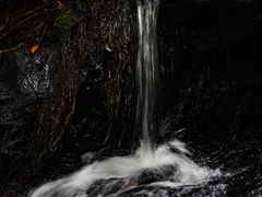 -马峦山郊野公园