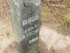 -梧桐山风景名胜区