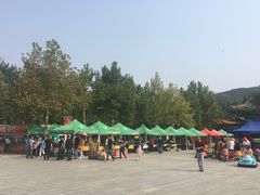 -龙口南山旅游景区